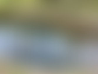 3月26日(金)東温市の魅力発見!点在する「泉」