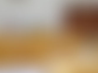 9月24日(金)「東温市子ども基本条例」制定に反対:東温市議会9月定例会(最終日)本会議での討論