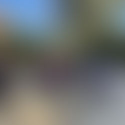 Les 3 Viles s’uneixen en una nova Marxa contra la Violència Masclista