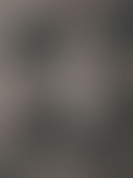 L'exposició "Temps i emocions" fotografia l'Alzheimer 