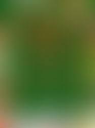 Caldetes impulsa un Casal de Nadal gratuït per a infants per facilitar la conciliació familiar