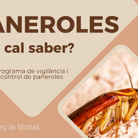 Programa de vigilància i control de paneroles: tot el que cal saber