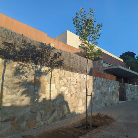 Es revisen i reposen 8 arbres al carrer Lleida 