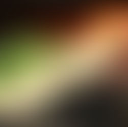 Obertes les inscripcions per a la calçotada popular de Llavaneres del 8 de febrer