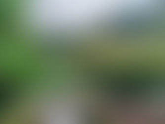 Descubre Cómo Encontrar Tu Hogar Ideal con Nuestro Servicio de Property Finder Personalizado