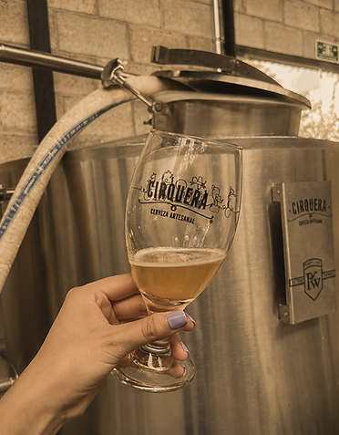 CERVEZA CASA NOMA QUERÉTARO