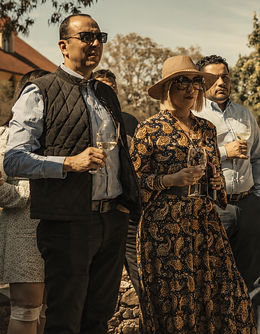 recorrido viñedo CASA NOMA QUERÉTARO