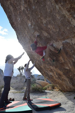 12885798_10153557765203108_973957732487698160_o