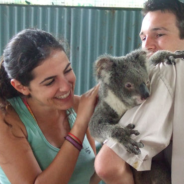A man holding a koala as a smiling woman strokes it