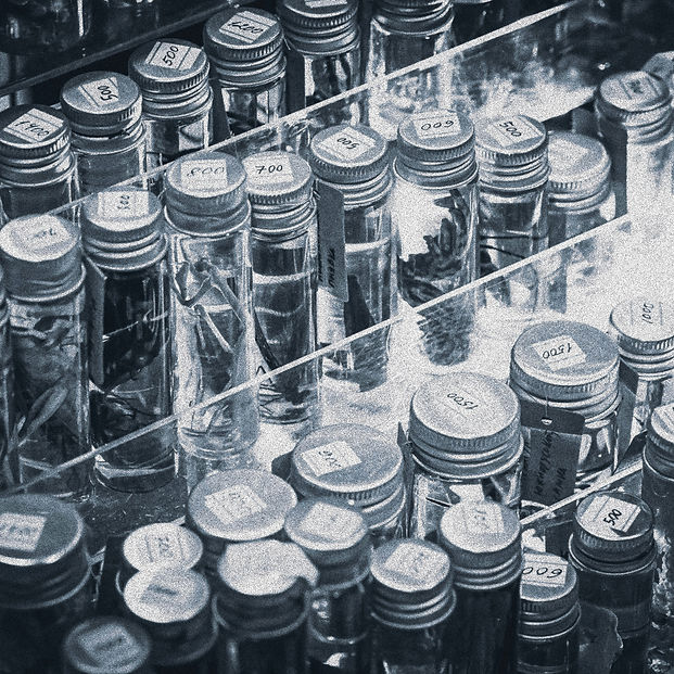a bunch of bottles that are sitting on a