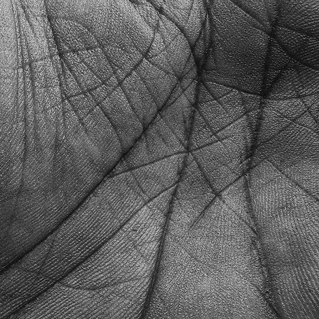 Monochrome human hand palm with intricat