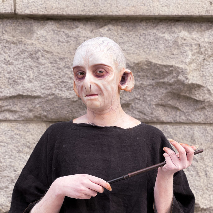 voldy.JPEG