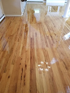 floor 12 light.jpg