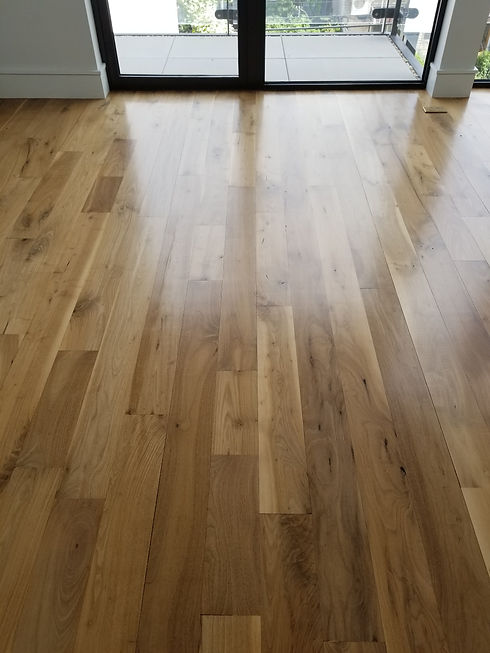 floor5.jpg