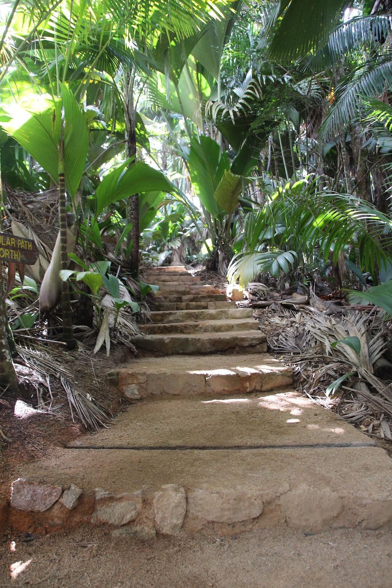 Vallée de Mai