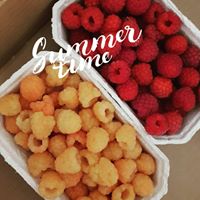Arranged Food and Objects