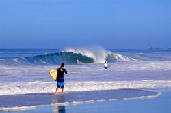 salinas.1
