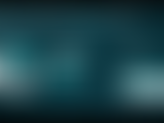 Hire the Best Power BI Experts to Transform Your Data