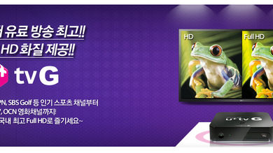LG유플러스 TVG 설치비 부과