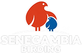 ChatGPT-afbeelding 30 sep 2026, 19_54_36
