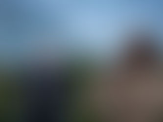 Miten TikTokin algoritmi toimii?