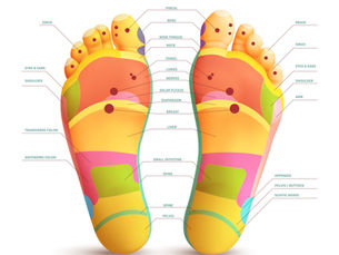 La Guida Completa alla Riflessologia Plantare: Principi, Vantaggi e Metodi