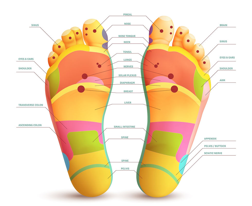 riflessologia plantare