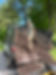 IMG_4054.jpeg