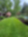 IMG_9362.jpeg