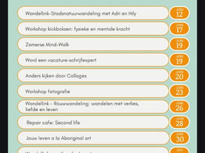 ONTWIKKELLINK LINK050 vanaf 12 juni tot en met 4 juli in de gemeente Groningen!