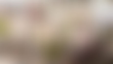 Stel je duurzame huis open op dinsdag 7 maart