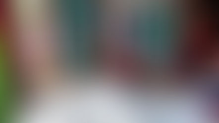 Werkervaringsproject Stee in Stad bestaat tien jaar