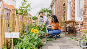 Gratis een groene voortuin? Pak je kans!