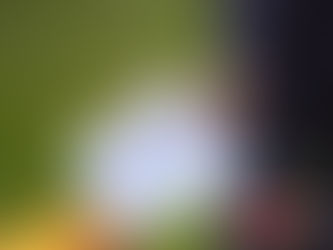 De stemming in de Korrewegwijk