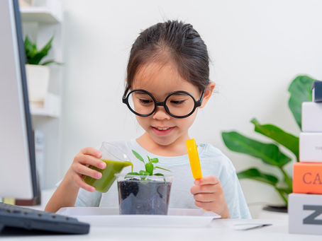 Plants and Their Parts: Top 5 Question Types You Can Expect on Your Science Exam