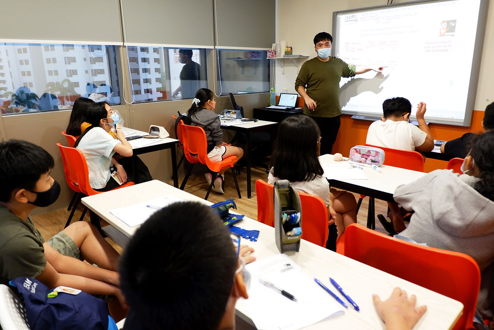 The Primary Math Tuition Programme objectives
