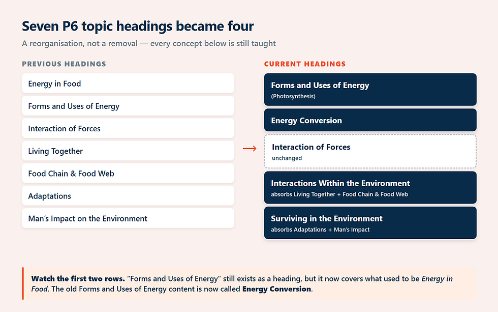What Changed in the P6 Science Syllabus? Six Topics Became Four