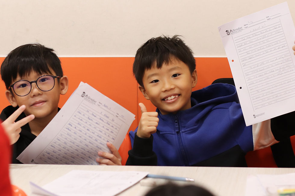 New PSLE Visual Text Format