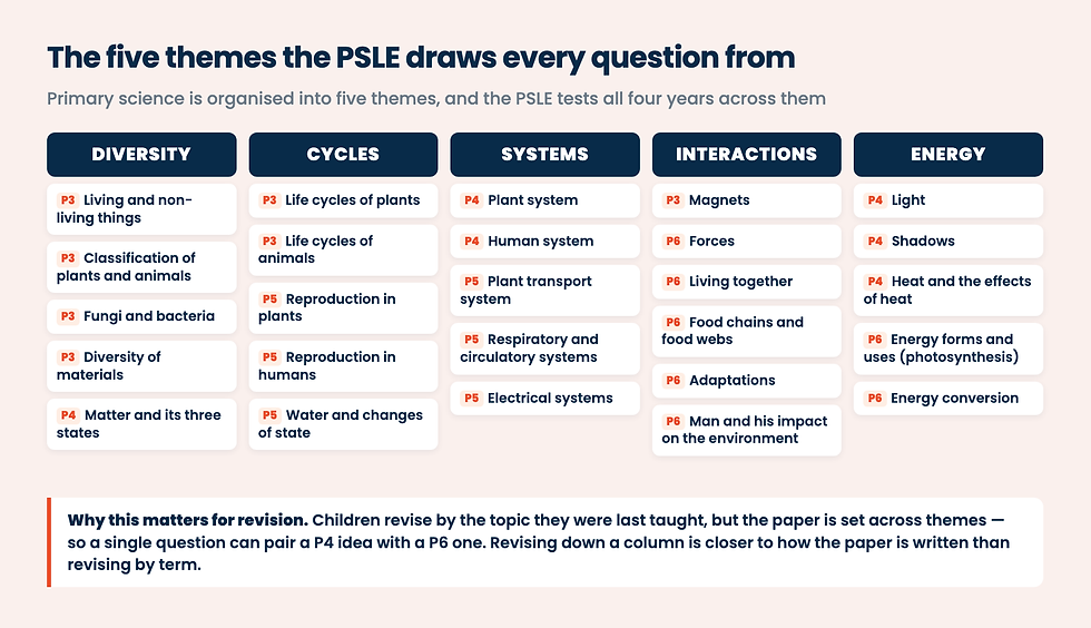 What Should PSLE Science Notes Actually Cover
