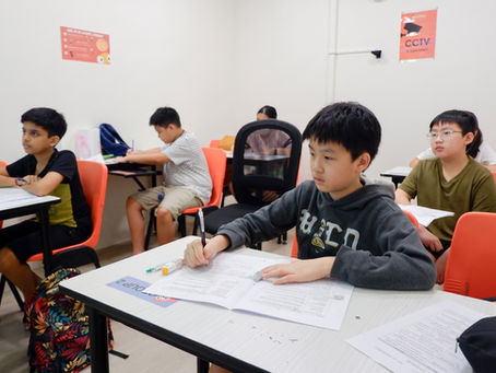 PSLE English Vocabulary: The 4 Levels Your Child Is Tested On