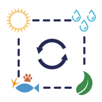Ecosistema.png