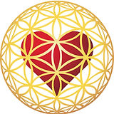 Holograbase sin fondo.jpg