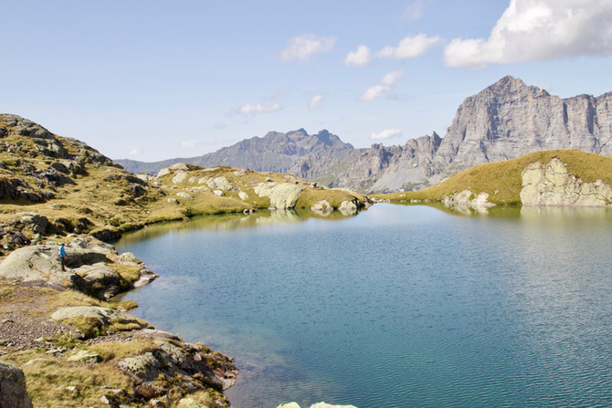 Alpines Fliegenfischen auf Namaycush