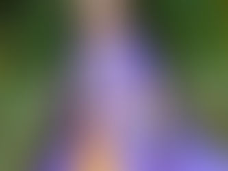 Fantasy for Dolls - Issue 25 Lantana by American Doll Dreams