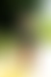 Fantasy for Dolls - Issue 11 Scarecrow