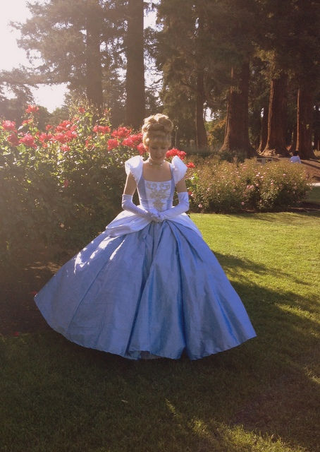 Thumbnail: Cinderella Fancy Rhinestone Version Gown
