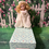 Thumbnail: Adopt me: Madame Alexander 8” Swan Princess Doll #51920