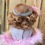 Thumbnail: Evie in Golden Blonde 1920’s Wig Curly for 18" Dolls