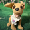 Thumbnail: Adopt Me: Taco Bell Chihuahua Talking Dog Style # 2 Toy