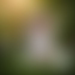 Fantasy for Dolls - Issue 23 A Fairy Princess